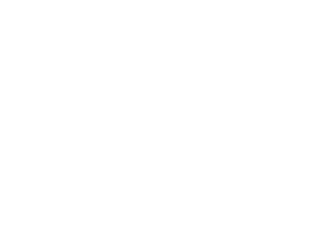 Paula Canetas Logo